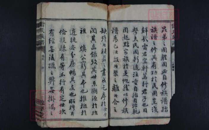 湖南省永州市雷氏族谱-雷氏族谱.pdf电子版预览图2