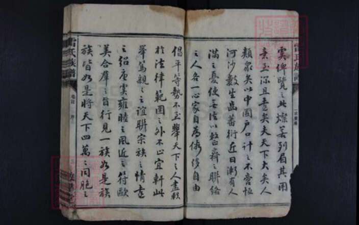 湖南省永州市雷氏族谱-雷氏族谱.pdf电子版预览图3