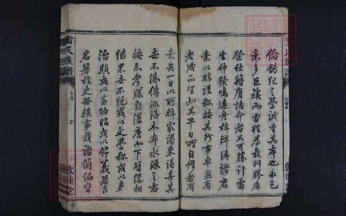 湖南省永州市雷氏族谱-雷氏族谱.pdf电子版预览图5