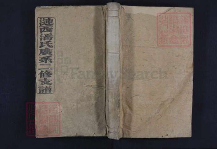 湖南省娄底市涟源市涟源潘氏族谱-涟西潘氏广系二修支谱.pdf电子版缩略图