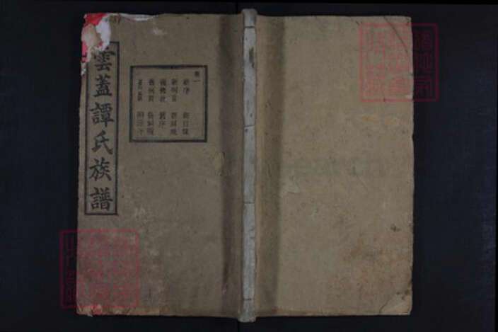 湖南省长沙市谭氏族谱-云盖谭氏族谱.pdf电子版缩略图