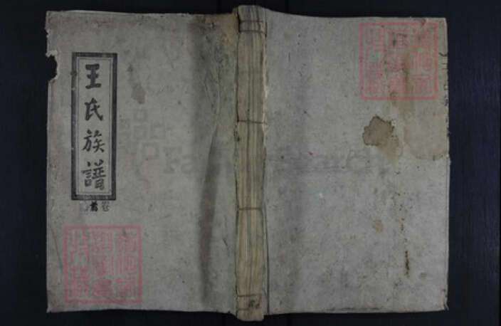 湖南省郴州市王氏族谱-王氏族谱.pdf电子版缩略图