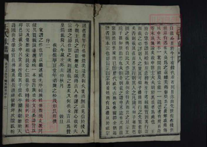 湖南省郴州市王氏族谱-王氏族谱.pdf电子版预览图2