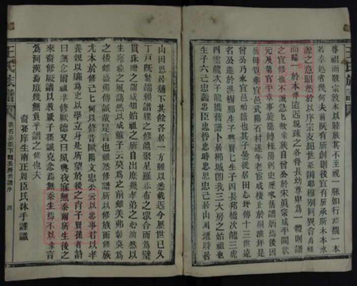 湖南省郴州市王氏族谱-王氏族谱.pdf电子版预览图4