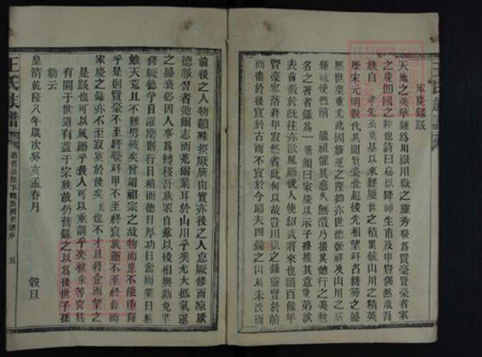 湖南省郴州市王氏族谱-王氏族谱.pdf电子版预览图5