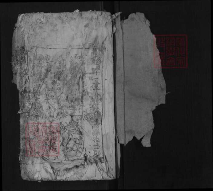 江西省赣州市兴国县杨氏族谱-杨氏族谱[不分卷].pdf电子版预览图1