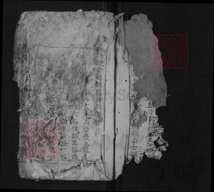 江西省赣州市兴国县杨氏族谱-杨氏族谱[不分卷].pdf电子版预览图2