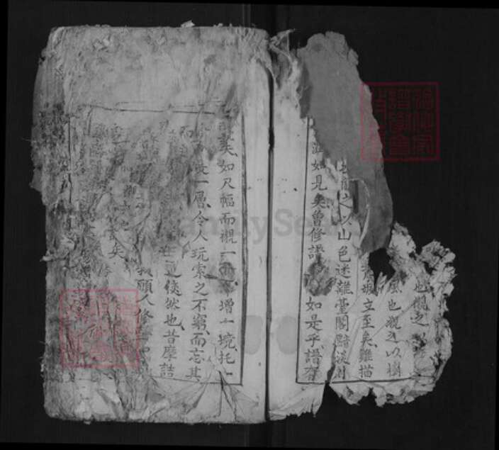 江西省赣州市兴国县杨氏族谱-杨氏族谱[不分卷].pdf电子版预览图3