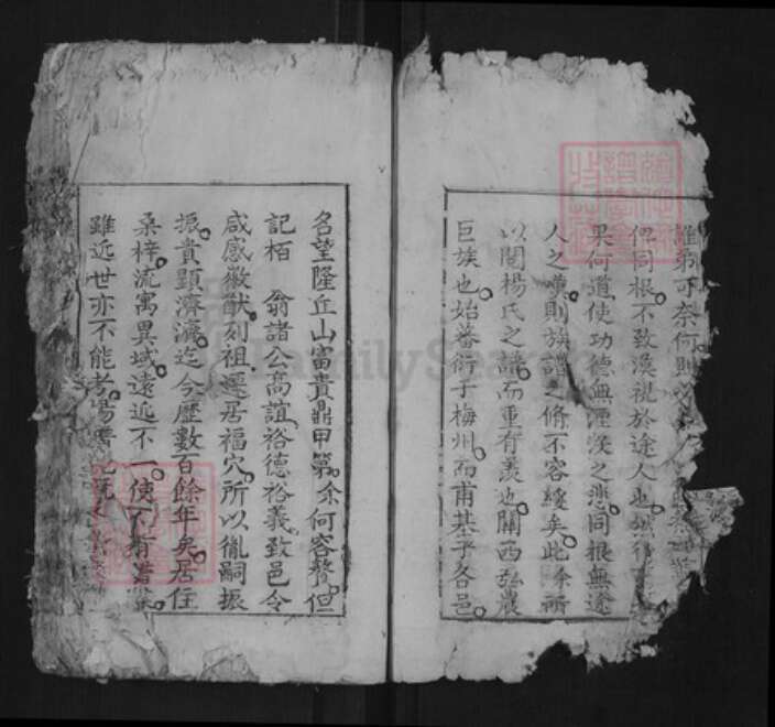 江西省赣州市兴国县杨氏族谱-杨氏族谱[不分卷].pdf电子版预览图4