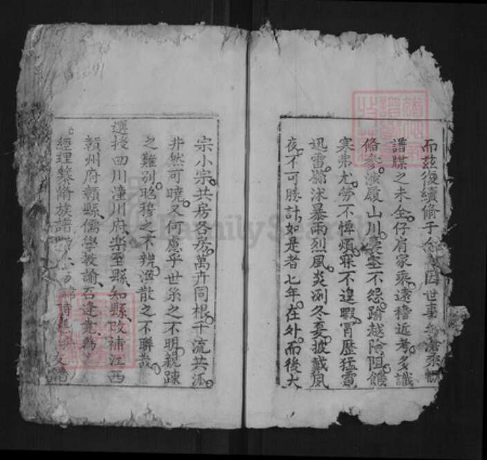 江西省赣州市兴国县杨氏族谱-杨氏族谱[不分卷].pdf电子版预览图5