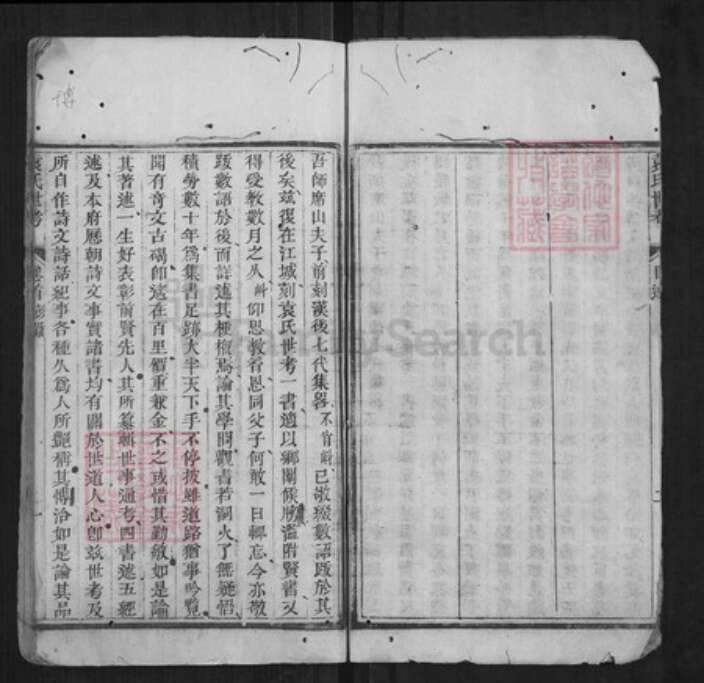 江西省宜春市袁氏族谱-袁氏世考[16卷].pdf电子版预览图4