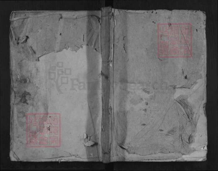 福建省莆田市林氏族谱-林族公谱.pdf电子版缩略图