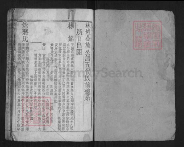 福建省莆田市林氏族谱-林族公谱.pdf电子版预览图1