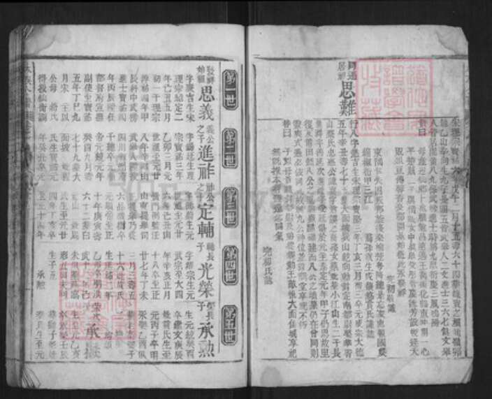 福建省莆田市林氏族谱-林族公谱.pdf电子版预览图2