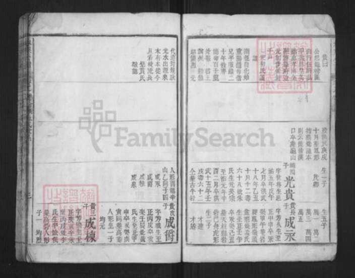 福建省莆田市林氏族谱-林族公谱.pdf电子版预览图4