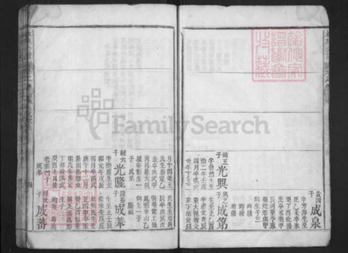 福建省莆田市林氏族谱-林族公谱.pdf电子版预览图5