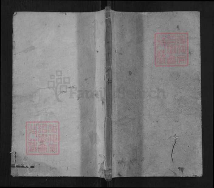 福建省莆田市林氏族谱-林氏族志[5卷].pdf电子版缩略图