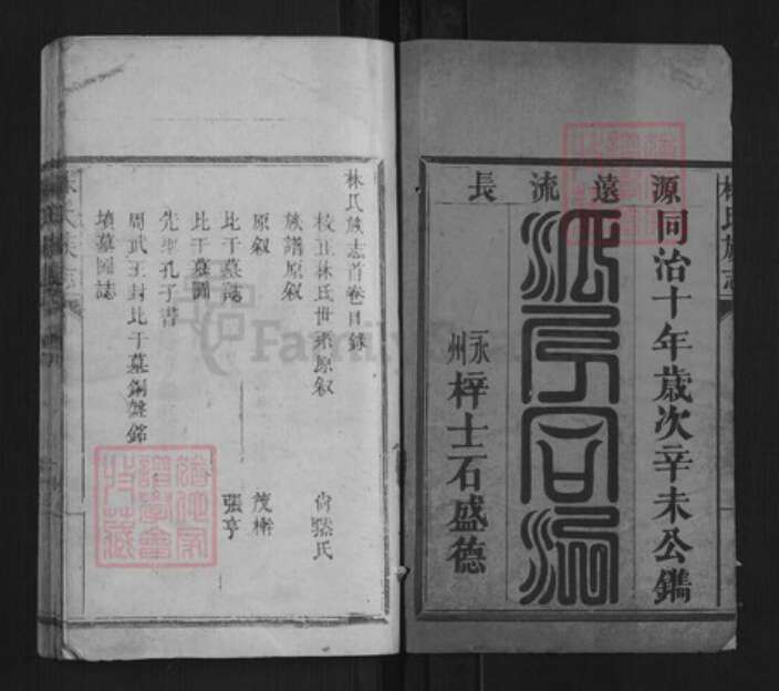 福建省莆田市林氏族谱-林氏族志[5卷].pdf电子版预览图1