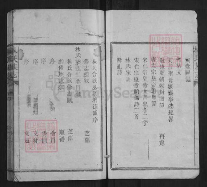 福建省莆田市林氏族谱-林氏族志[5卷].pdf电子版预览图2