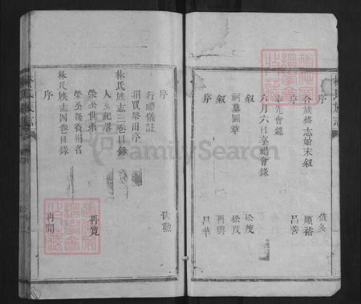 福建省莆田市林氏族谱-林氏族志[5卷].pdf电子版预览图3