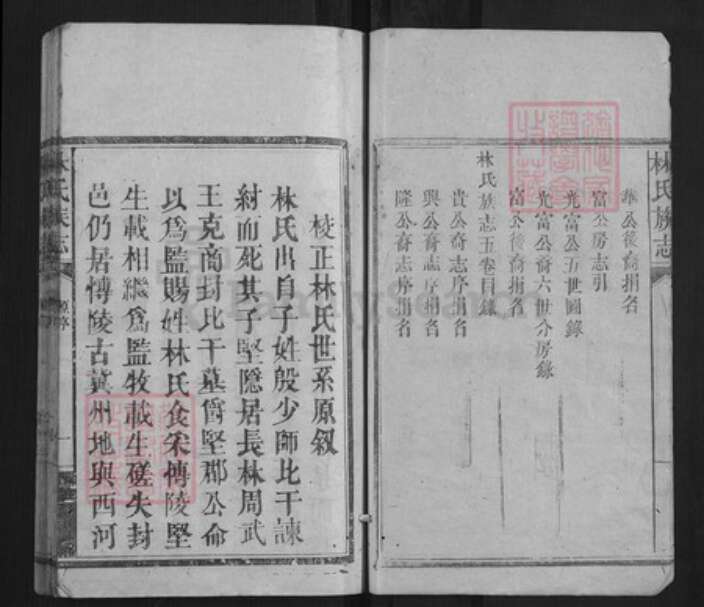 福建省莆田市林氏族谱-林氏族志[5卷].pdf电子版预览图4