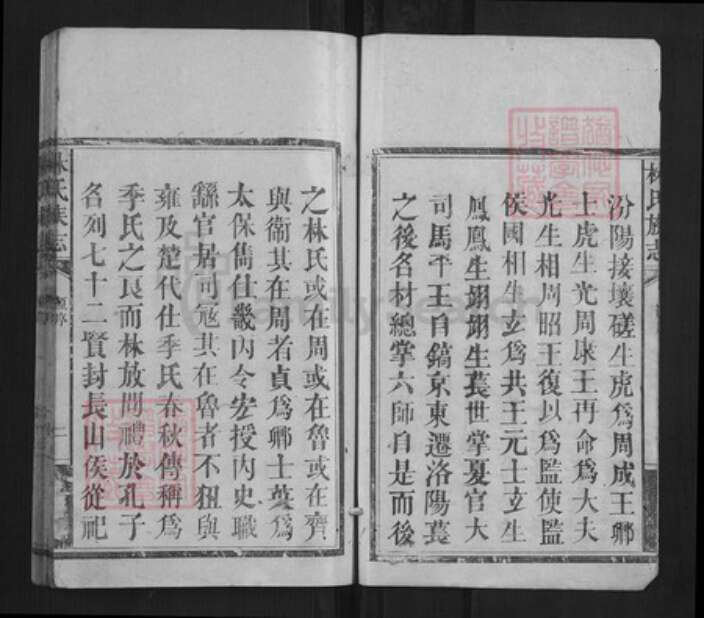 福建省莆田市林氏族谱-林氏族志[5卷].pdf电子版预览图5