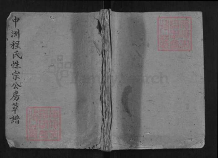 浙江省杭州市淳安县县程氏族谱-中洲程氏性宗公房草谱[不分卷].pdf电子版缩略图