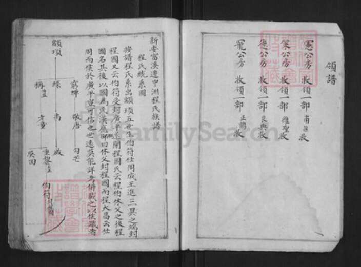 浙江省杭州市淳安县县程氏族谱-中洲程氏性宗公房草谱[不分卷].pdf电子版预览图4