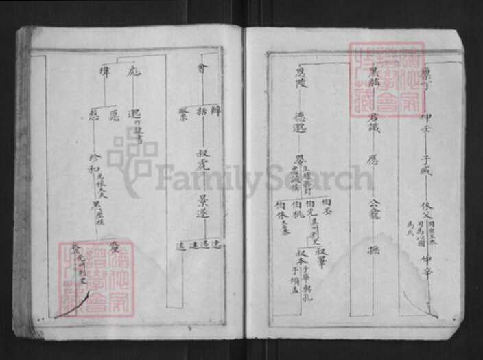 浙江省杭州市淳安县县程氏族谱-中洲程氏性宗公房草谱[不分卷].pdf电子版预览图5