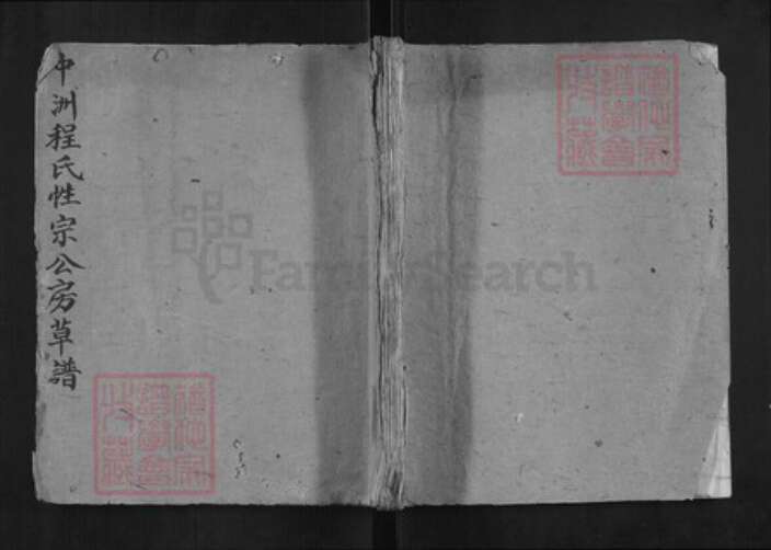 浙江省杭州市淳安县县程氏族谱-中洲程氏性宗公房草谱[不分卷].pdf电子版缩略图