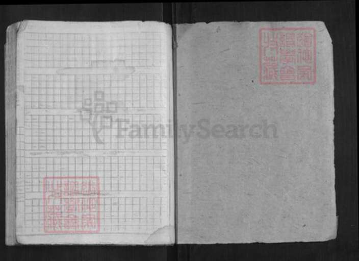 浙江省杭州市淳安县县程氏族谱-中洲程氏性宗公房草谱[不分卷].pdf电子版预览图1