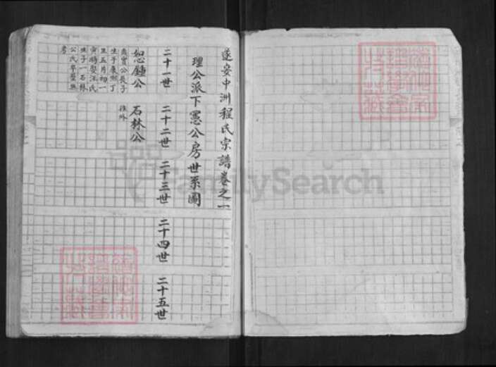 浙江省杭州市淳安县县程氏族谱-中洲程氏性宗公房草谱[不分卷].pdf电子版预览图2