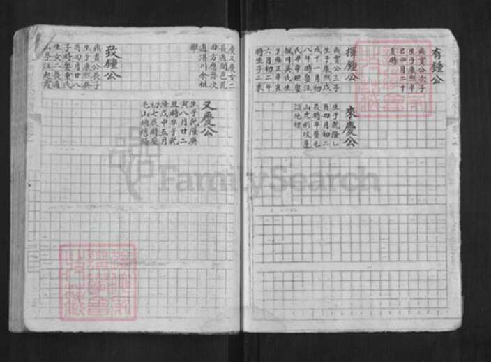 浙江省杭州市淳安县县程氏族谱-中洲程氏性宗公房草谱[不分卷].pdf电子版预览图3