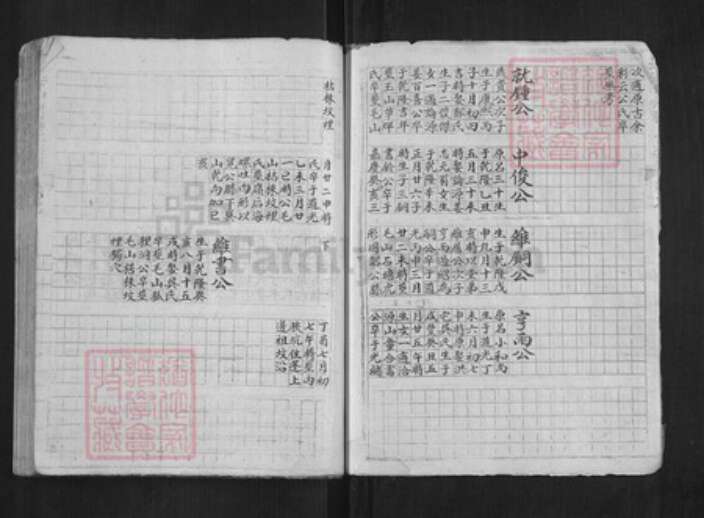 浙江省杭州市淳安县县程氏族谱-中洲程氏性宗公房草谱[不分卷].pdf电子版预览图4