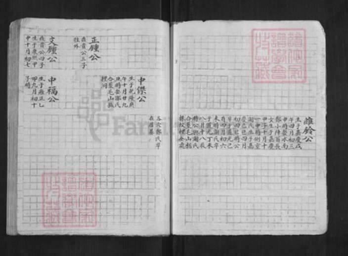 浙江省杭州市淳安县县程氏族谱-中洲程氏性宗公房草谱[不分卷].pdf电子版预览图5