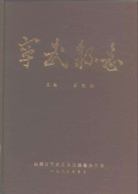 -宁武县志  初稿.pdf电子版_山西省志缩略图