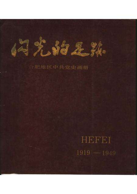 1988版闪光的足迹  合肥地区中共党史画册.pdf电子版_安徽省志缩略图