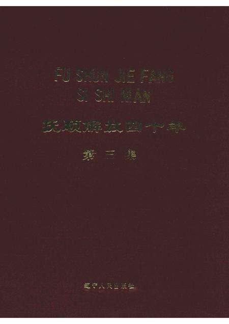 1989-抚顺解放四十年  第3集.pdf电子版_辽宁省志缩略图