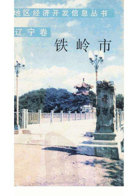 1989-铁岭市  辽宁卷.pdf电子版_辽宁省志缩略图