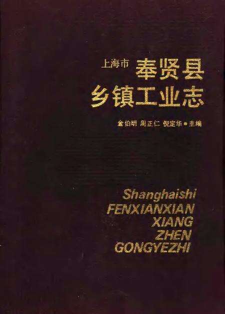 1990-上海市奉贤县乡镇工业志.pdf电子版_上海市志缩略图