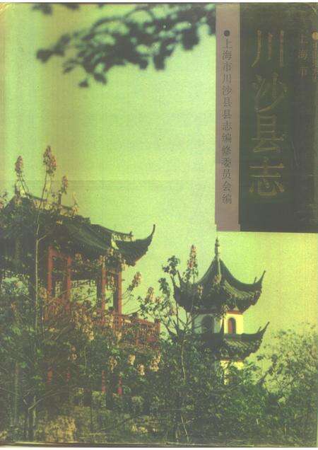 1990-上海市川沙县志.pdf电子版_上海市志缩略图