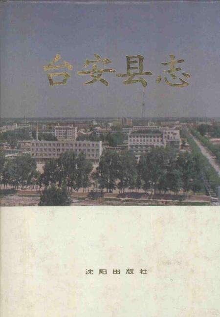 1990-台安县志.pdf电子版_辽宁省志缩略图
