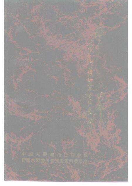 1990-哲里木盟文史资料  第4辑  血雨腥风十四年  哲里木盟伪满时期史料.pdf电子版_内蒙古志缩略图
