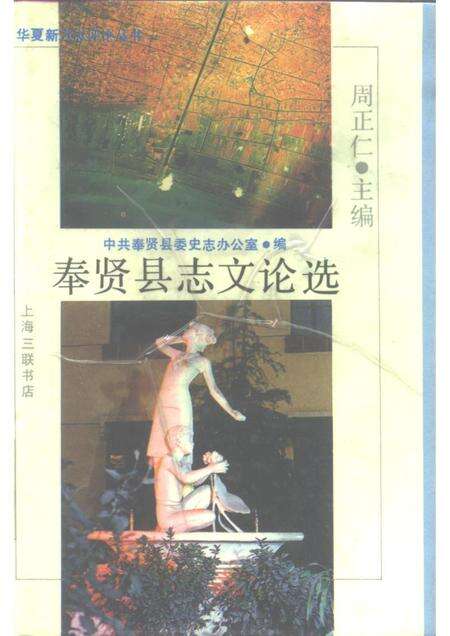 1990-奉贤县志文论选.pdf电子版_上海市志缩略图
