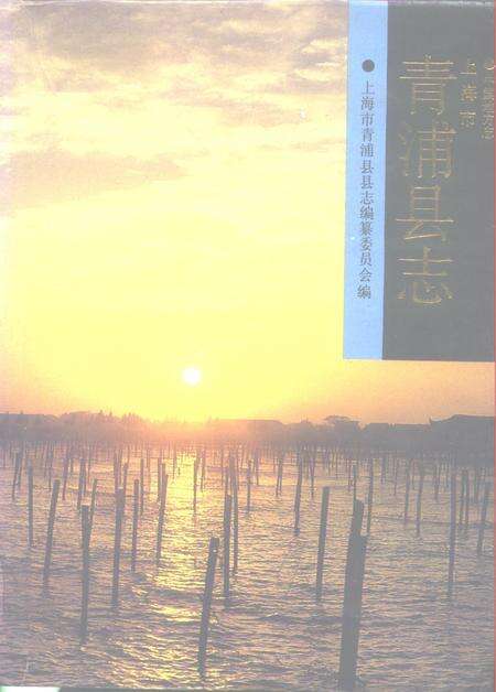 1990-青浦县志.pdf电子版_上海市志缩略图