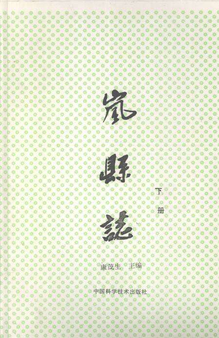 1991-岚县志  下.pdf电子版_山西省志缩略图