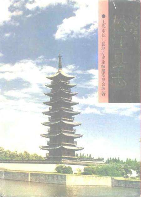 1991-松江县志.pdf电子版_上海市志缩略图
