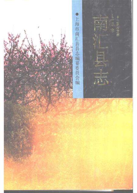 1992-南汇县志.pdf电子版_上海市志缩略图