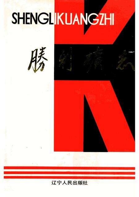 1992-抚顺矿区胜利矿志  1901-1985.pdf电子版_辽宁省志缩略图