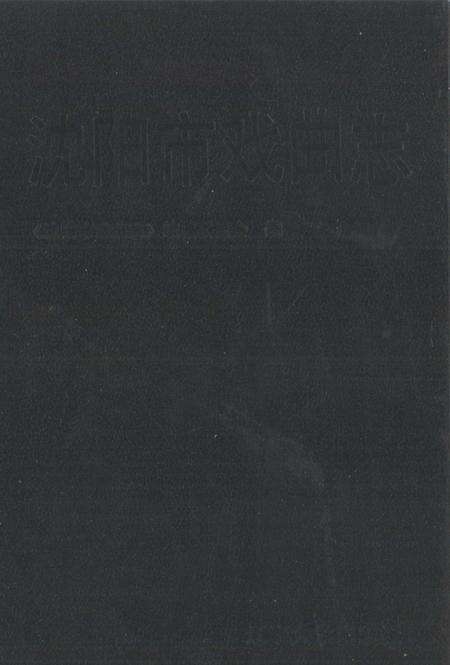 1992-沈阳市戏曲志.pdf电子版_辽宁省志缩略图